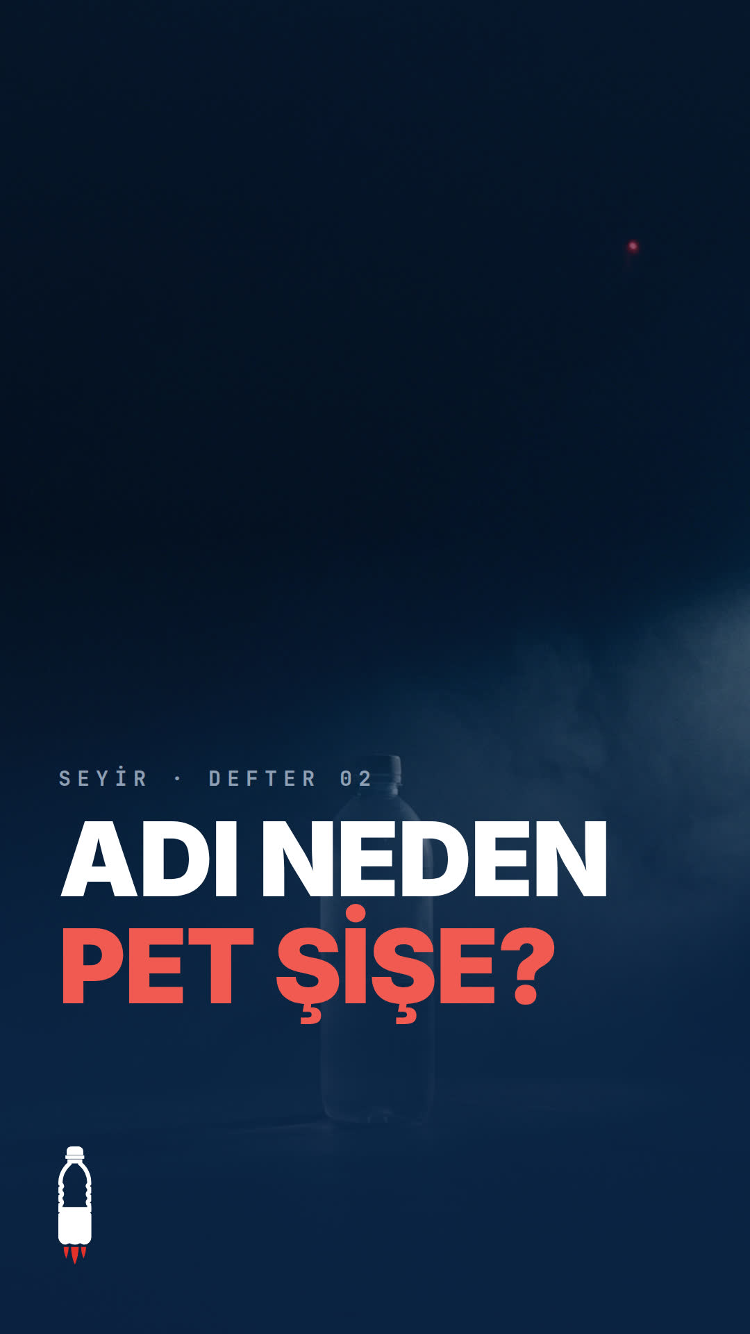 SEYİR DEFTERİ #2 · İsim hikâyesi «x = pet_sise»